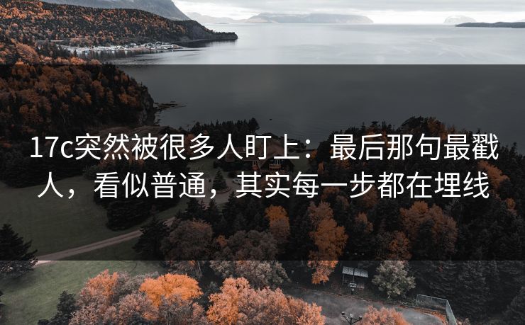 17c突然被很多人盯上：最后那句最戳人，看似普通，其实每一步都在埋线