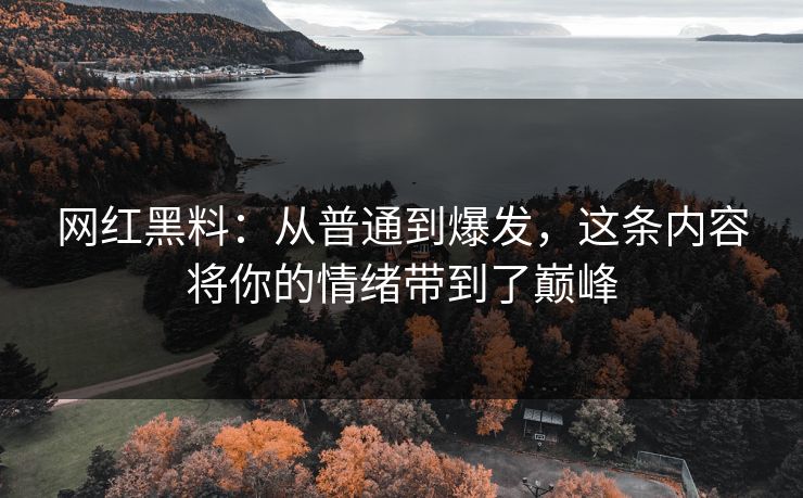 网红黑料：从普通到爆发，这条内容将你的情绪带到了巅峰