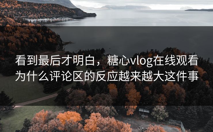 看到最后才明白，糖心vlog在线观看为什么评论区的反应越来越大这件事