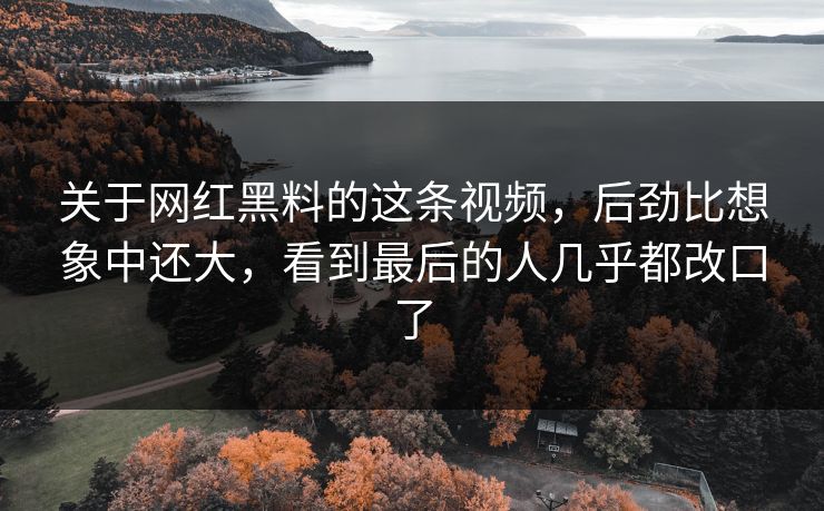 关于网红黑料的这条视频，后劲比想象中还大，看到最后的人几乎都改口了