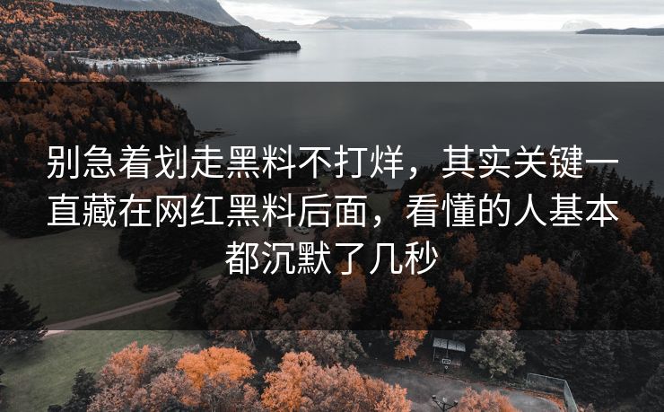 别急着划走黑料不打烊，其实关键一直藏在网红黑料后面，看懂的人基本都沉默了几秒  第1张