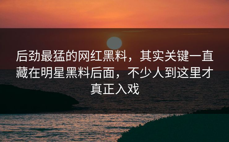后劲最猛的网红黑料，其实关键一直藏在明星黑料后面，不少人到这里才真正入戏