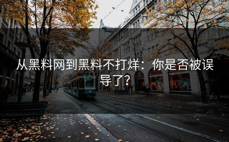 从黑料网到黑料不打烊：你是否被误导了？