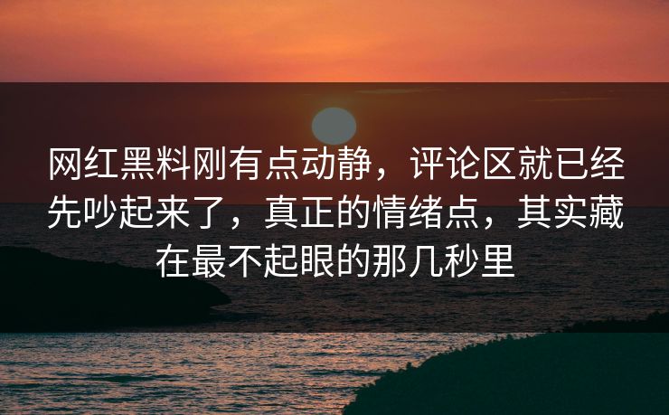 网红黑料刚有点动静，评论区就已经先吵起来了，真正的情绪点，其实藏在最不起眼的那几秒里