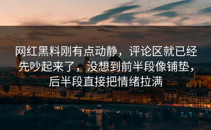 网红黑料刚有点动静，评论区就已经先吵起来了，没想到前半段像铺垫，后半段直接把情绪拉满  第1张