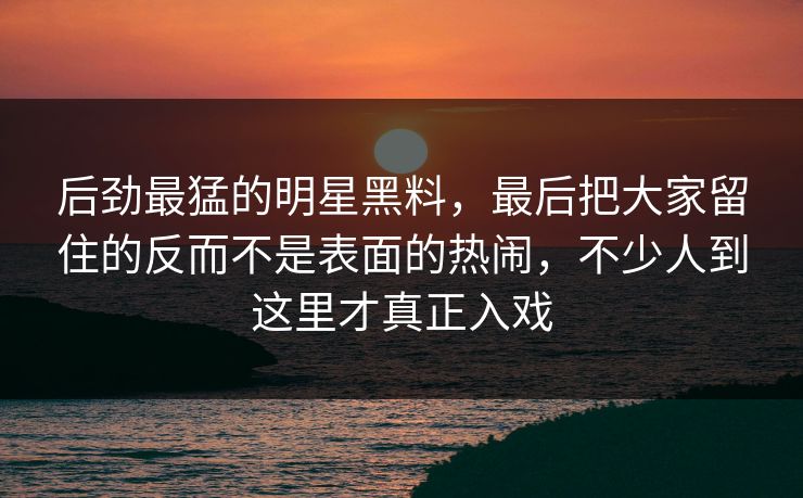 后劲最猛的明星黑料，最后把大家留住的反而不是表面的热闹，不少人到这里才真正入戏